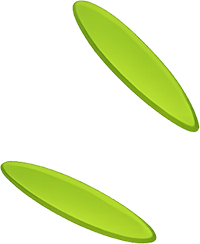 Smoogo - goutte vert sains